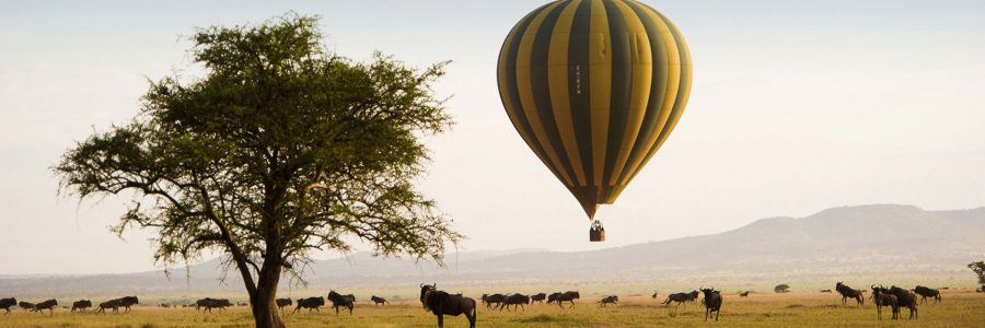 1-day-serengeti-ballon-safari-in-tanzania-banner