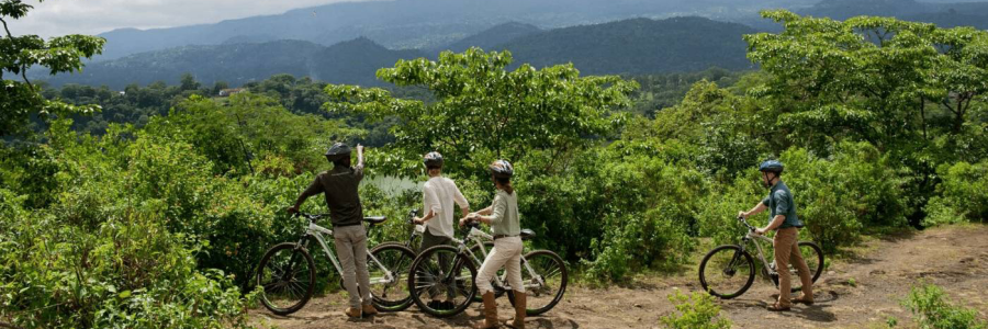 FFE621B4-19FD-4CB2-815B-7AC9A3BD009E