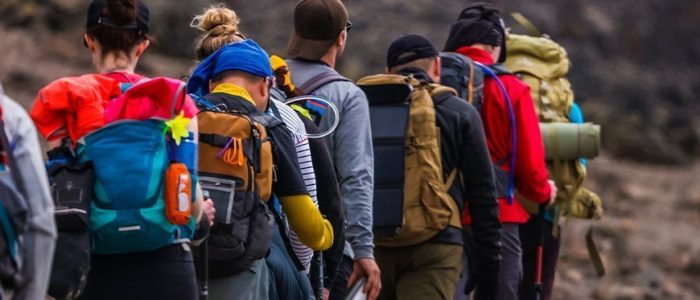 Mt. Kilimanjaro Parking List.