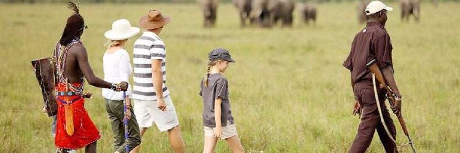 walking-safari